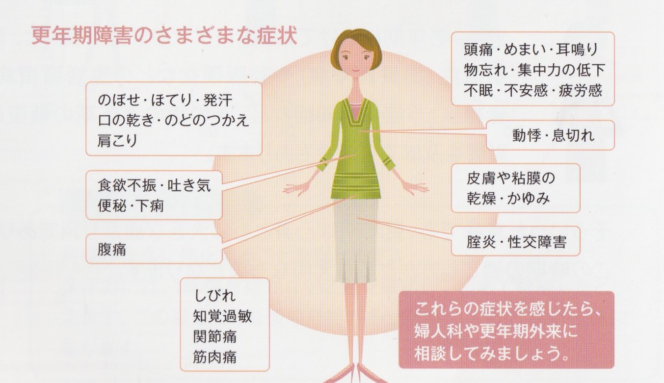 更年期障害の様々な症状を表した図